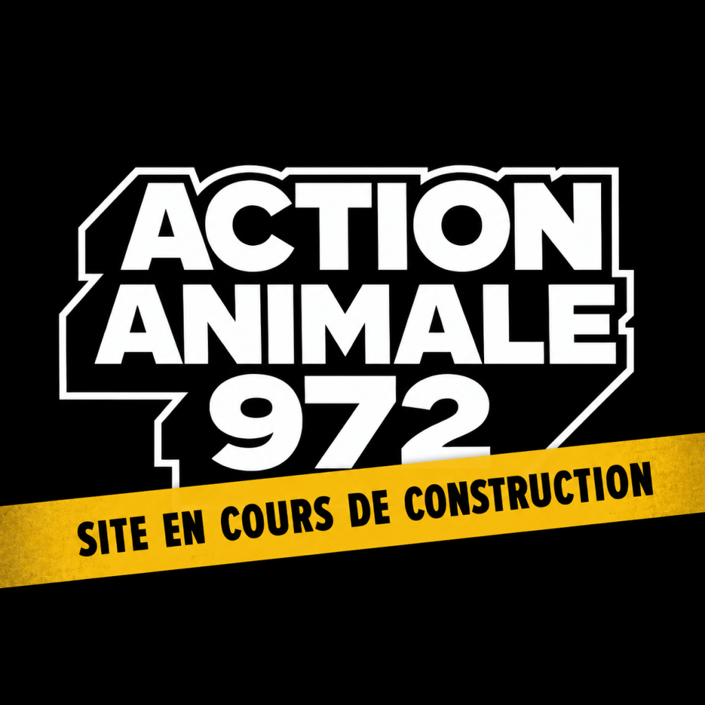 Le site Action Animale 972 est désormais en&nbsp;ligne